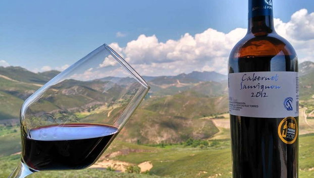 Visita a las bodegas Ruiz Torres - Foto 2, Cata de vino