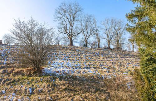 2 Ferienwohnungen in Aufhausen - die Sternengucker-Wohnung im 5-Seen-Land - Foto 45
