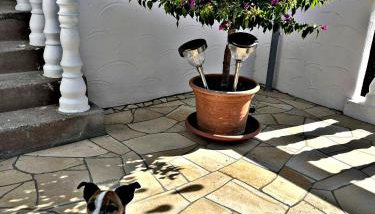 Bürgerhaus Zeltingen Apartments Moselharmonie - Foto 3