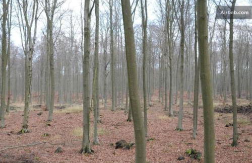 Landbahnhof Buschhof 2 OG mit Gartensauna - Foto 58