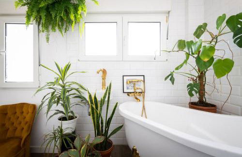 La Casa del Gallo - Foto 26