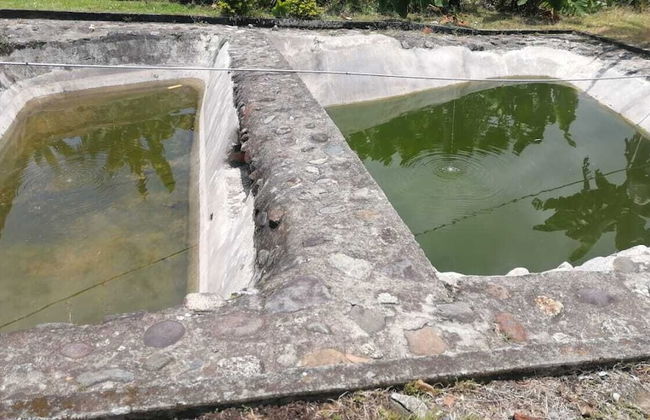 Finca hotel el ENSUEÑO - Photo 8