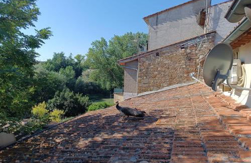 Il bosco sul Tevere Guest house - Foto 46