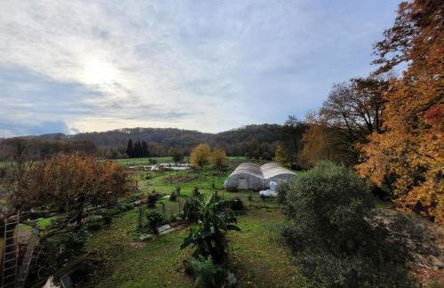 Gîte de France Gîte de la pépinière de chapi 2 épis - Gîte de France 4 personnes MAE-4631 - Foto 33