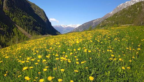 Maison Neige Et Soleil - Foto 2