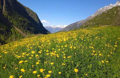 Maison Neige Et Soleil - Foto 2