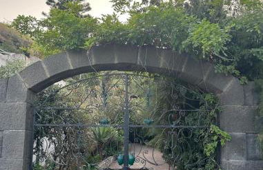 Schicciolina - Foto 1