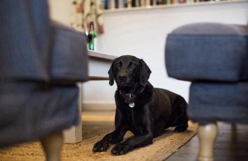 Oak Tree Cottage - Photo 11