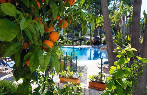 Matchroom Perla Roja 2 - Photo 45