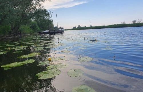 Cicha Przystań - Foto 17