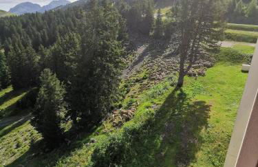 Appartement Edelweiss Chamrousse vue sur Recoin La Croix de Chamrousse Grenoble - Foto 28