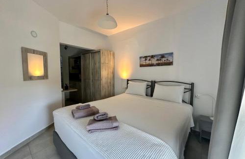 TORONI ALPHA STUDIOS - Foto 6