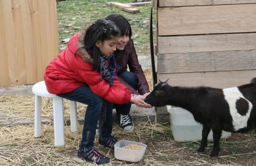 La Granja De Vitoria - Foto 20