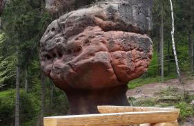 Ferienwohnung Lucke - Foto 17