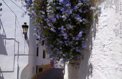 Villa Abril - Foto 53