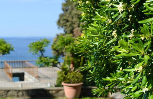 Apartmani Županić - Foto 22