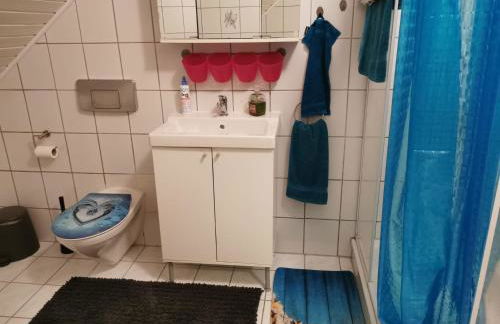 Wohnung Nähe Losheimer Stausee - Foto 9