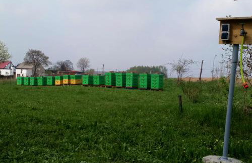 Gospodarstwo u Krakusa - Foto 28