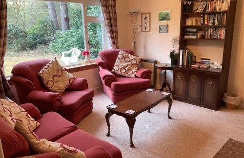 The Pines Self-catering cottage,Wester Ross, Scotland - Foto 12