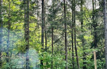 Stunning Catskills Cabin - Photo 10