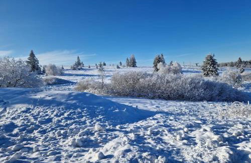 L'Appart avec terrasse - centre historique - Photo 31