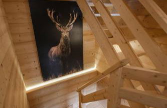 Chalet Pesse - Foto 10