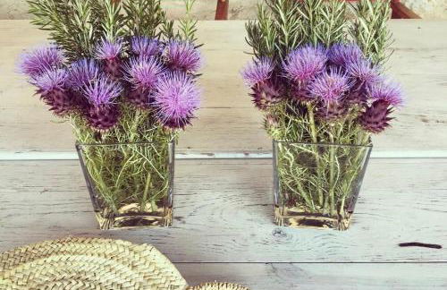 Casa da Mata - Foto 35