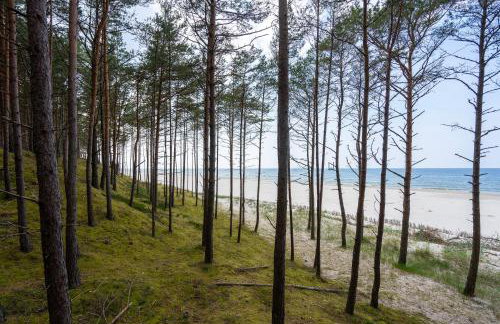 Domki Szumifala - Foto 46