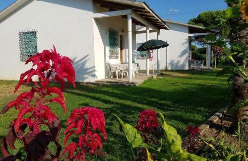 Bungalow bei Emma - Foto 26