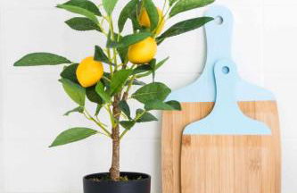 Downtown Charming Apartments - Apartamento Castelo - Foto 17