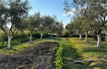 Telis Apartments One - Foto 23