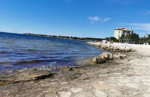 App Palčić K - Photo 22