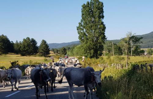 Lorica Suite Lago - Foto 75