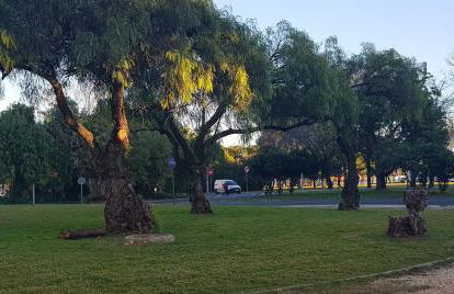 Apartamento frente a Palacio de Congresos (Fibes) - Foto 22