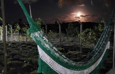 Casa Vento e Mar - Foto 30