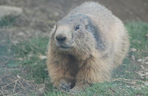 les Gites de l’E.D.E. - Photo 36