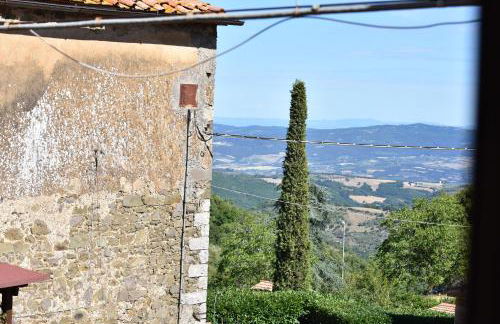 HOME L'UPUPA AMIATA - Foto 5