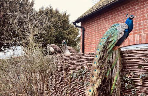 The Bolthole - Foto 19