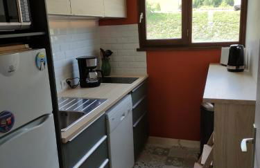 Appartement La Toussuire avec vue exceptionnelle - Foto 6