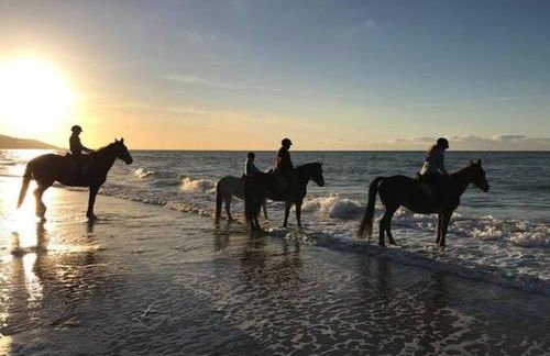 Les Pieds Dans l'Eau - Photo 31