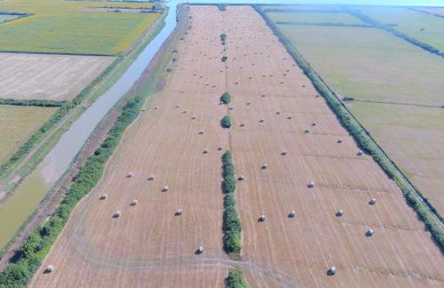 Domaine des Prés de Joussac - Entre Estuaire et Océan - Foto 79