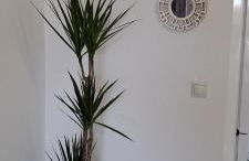 APARTAMENTO HECO - Foto 10