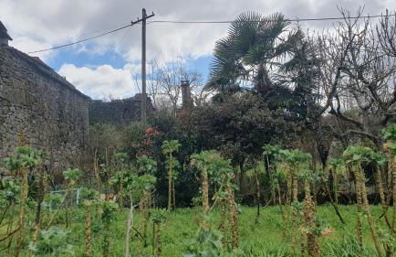 Retiro da perreira com churrasqueira - Foto 38