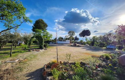 Agroturismo Viña Inés Toledo - Photo 79