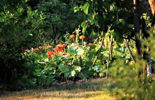 Pojezierze Drawskie Agroturystyka Greanna - Foto 48