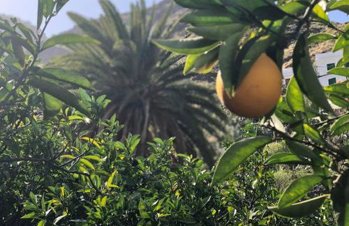 Casa Camino Tamadaba - Foto 50