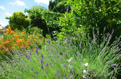 VILLA FREIA Dresden - Exklusive Ferienwohnung zum Erholen & Entspannen - Foto 38