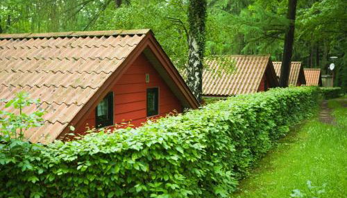 Waldidylle - Bungalows an der Talsperre Kriebstein - Foto 1