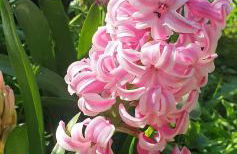 Rifugio al mare - Foto 32