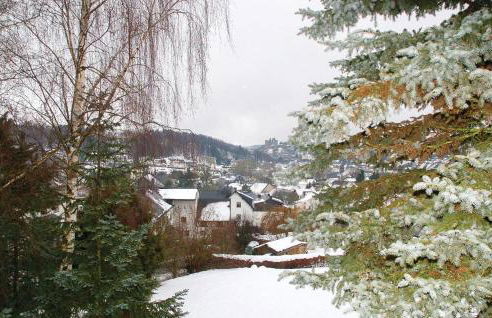 1 Bedroom Cozy Apartment In Schönecken - Foto 10